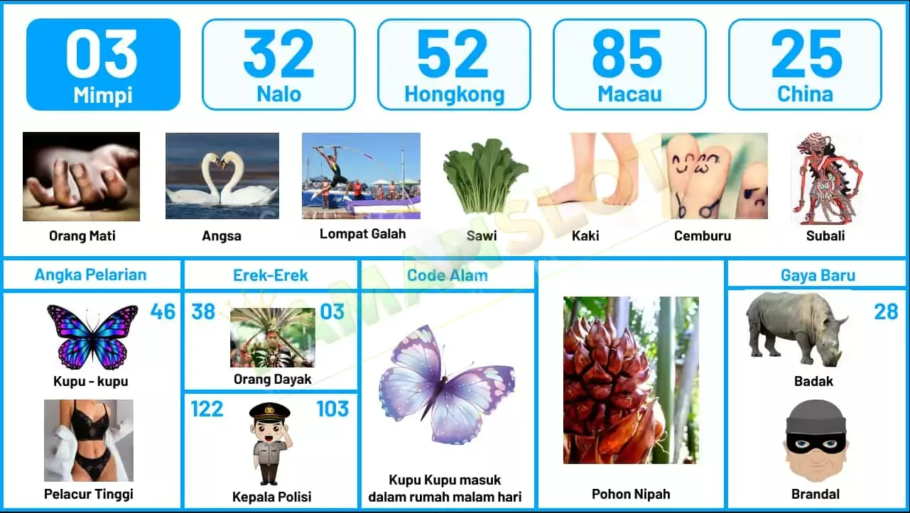 buku mimpi erek erek togel 03