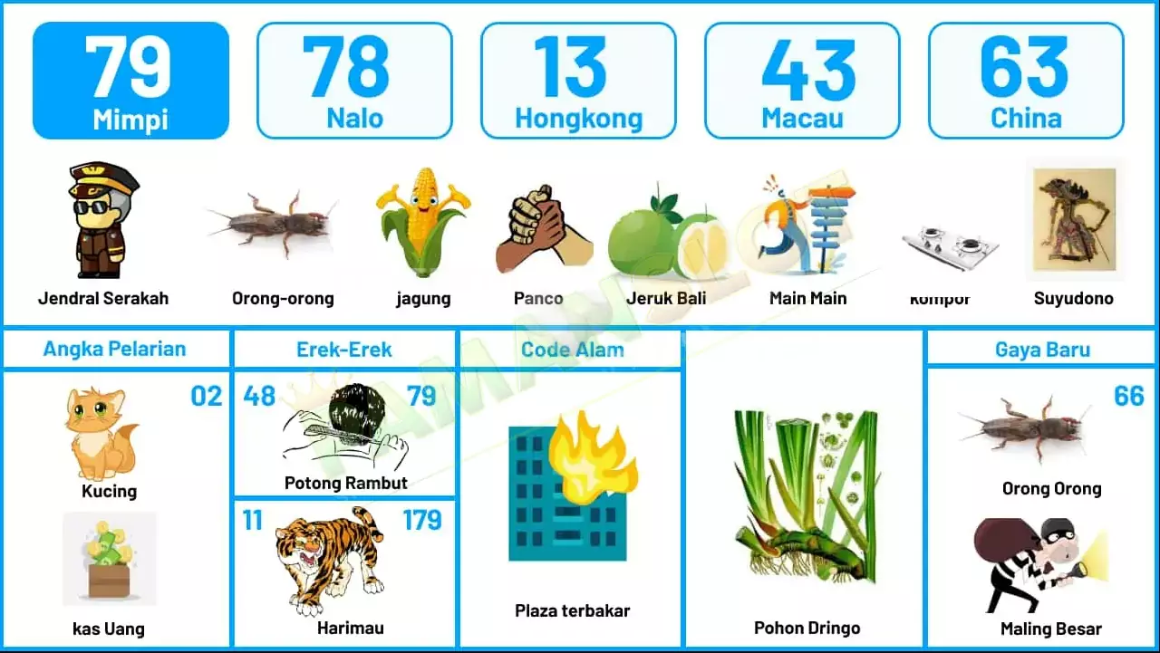 buku mimpi erek erek togel 79